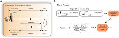 The Performance Index Identifies Changes Across the Dual Task Timed Up and Go Test Phases and Impacts Task-Cost Estimation in the Oldest-Old